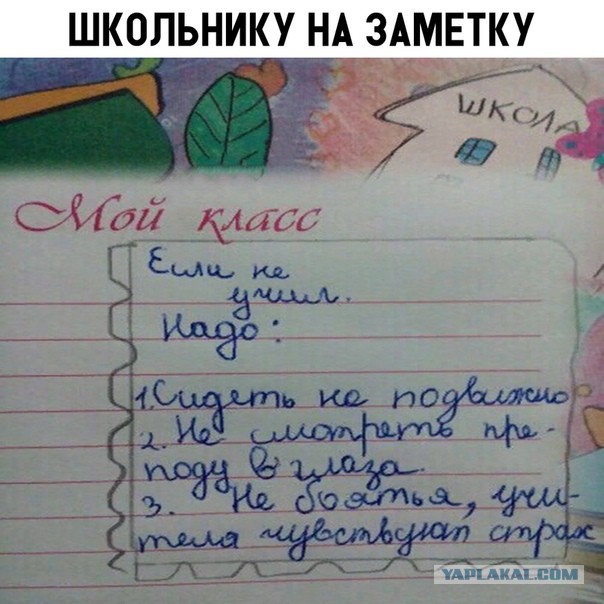 Немного картинок на вечер этой субботы