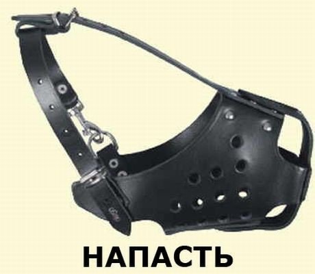 ÐÐ³ÑÐ° ÑÐ»Ð¾Ð² Ð² ÐºÐ°ÑÑÐ¸Ð½ÐºÐ°Ñ