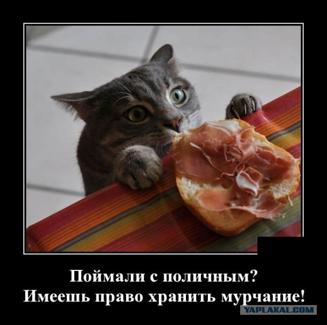103 картинки для поднятия настроения!
