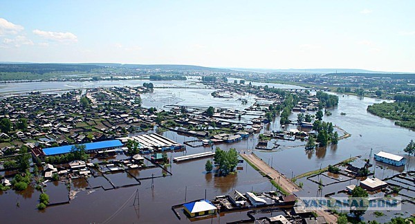 Лучшее видео, показывающее реальную ситуацию в Тулуне