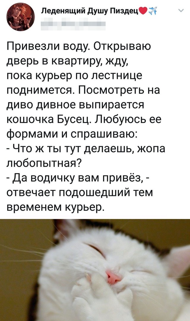 Картинки с надписями, истории и анекдоты