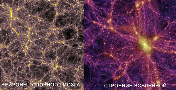 Доказательства того, что некоторые вещи лучше всего познаются в сравнении