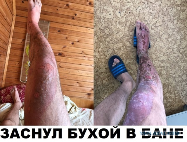 Скотсети и прочие интернеты 01.11.19