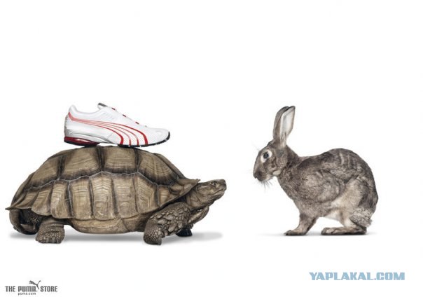 Креативная реклама от Puma