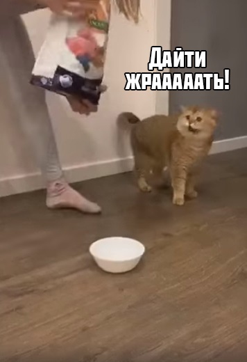 С ума сошла, что-ли?!
