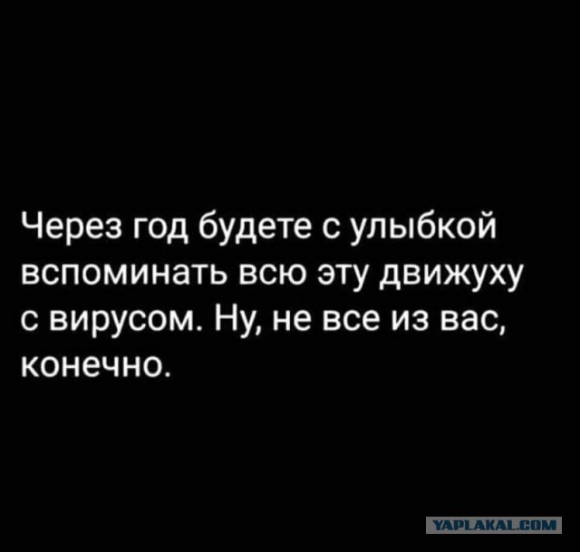 16 фотографий, доказывающих, что паника из-за коронавируса уже превратилась в паранойю
