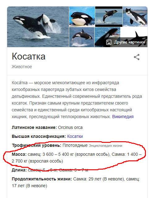 Так себе картинки #14