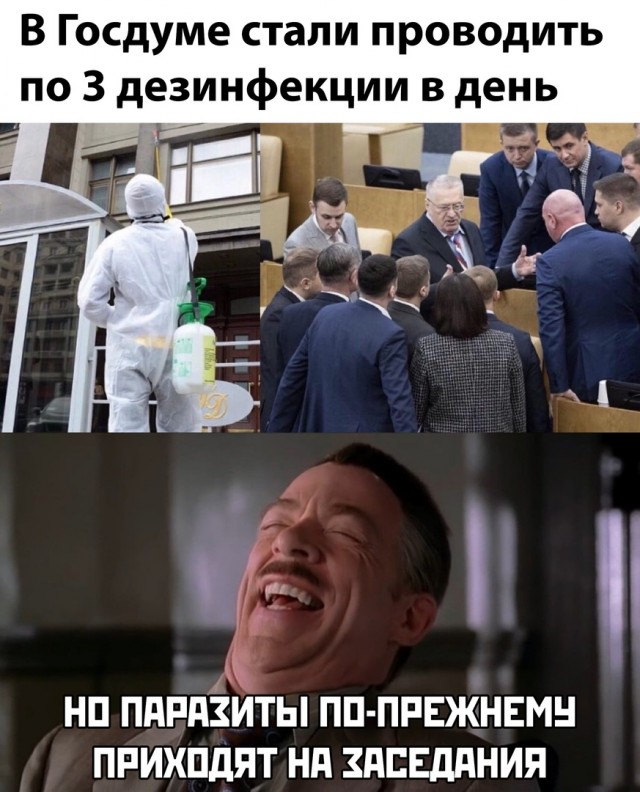 14348653.jpg