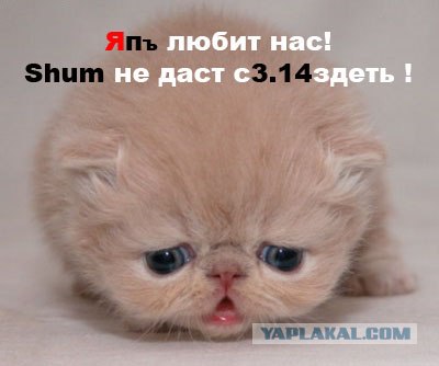 Фотожаба: Наши правила