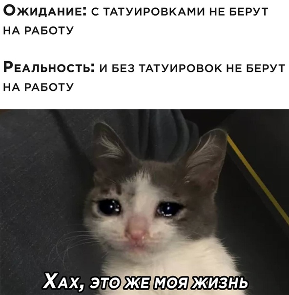 Немного картинок для настроения 05.11.20
