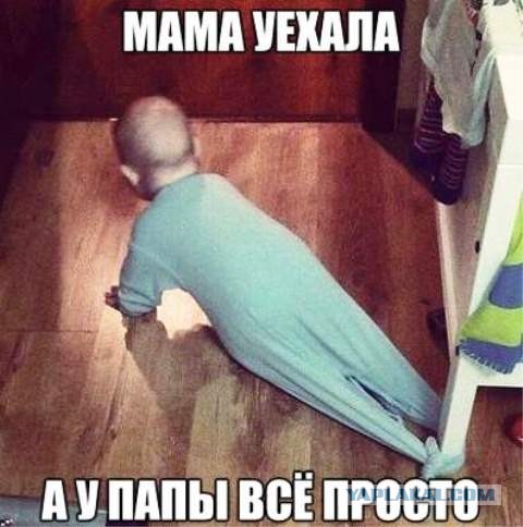 Немного картинок для настроения 13.11.20