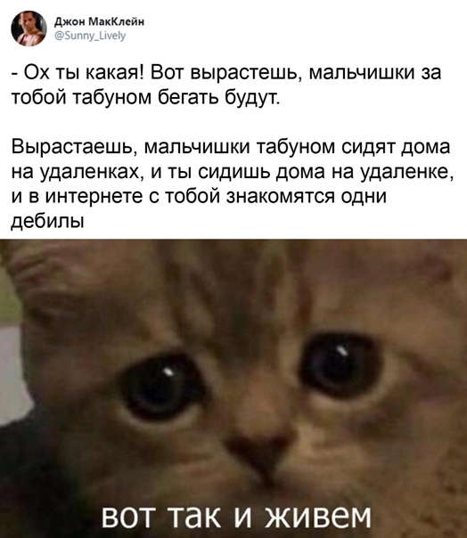 Картинки и мемы для настроения 010
