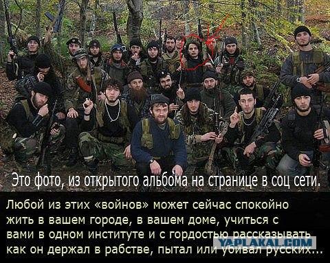 Немного о толерантности...