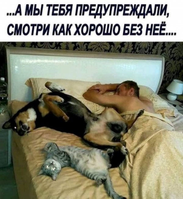 Прикольные и просто красивые картинки 29.06.2021