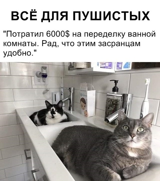 Так себе картинки 28.07.21