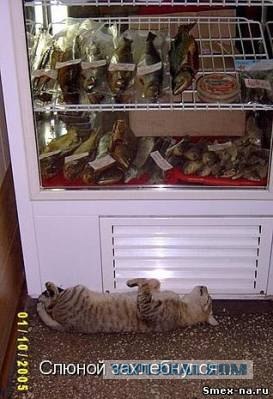 Мясо в "горшочке"