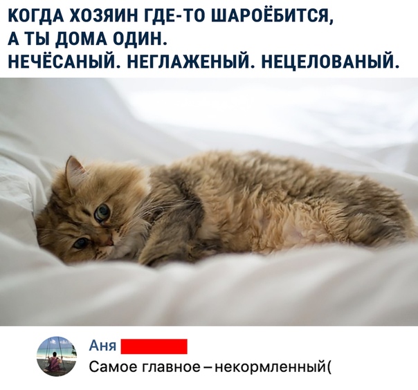 Чуток картинок 17.12.21