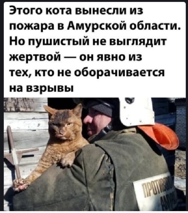 Картинки с надписями и всякие жизненные фразы
