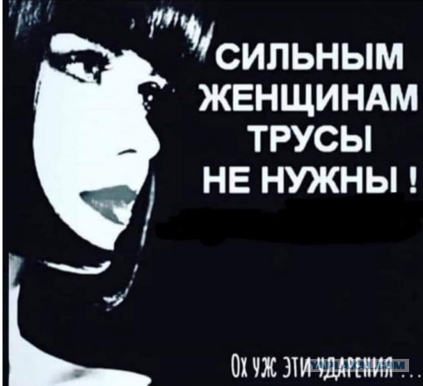 Забавные шутки, фразы, картинки из этих ваших интернетов
