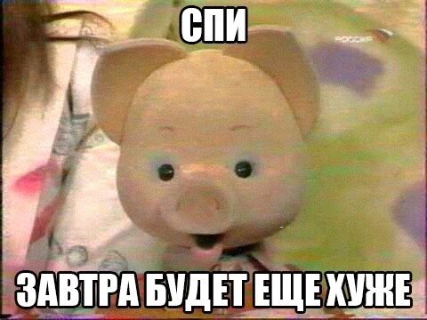 Человек собаке друг и другие картинки и мемы  под настроение