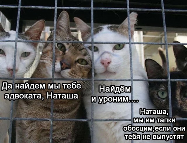 Баянисто-небаянистый юмор 21.02.22