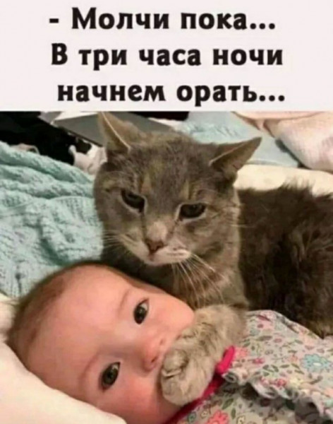 50 оттенков серого. Vol.15 Или самосвал баянов
