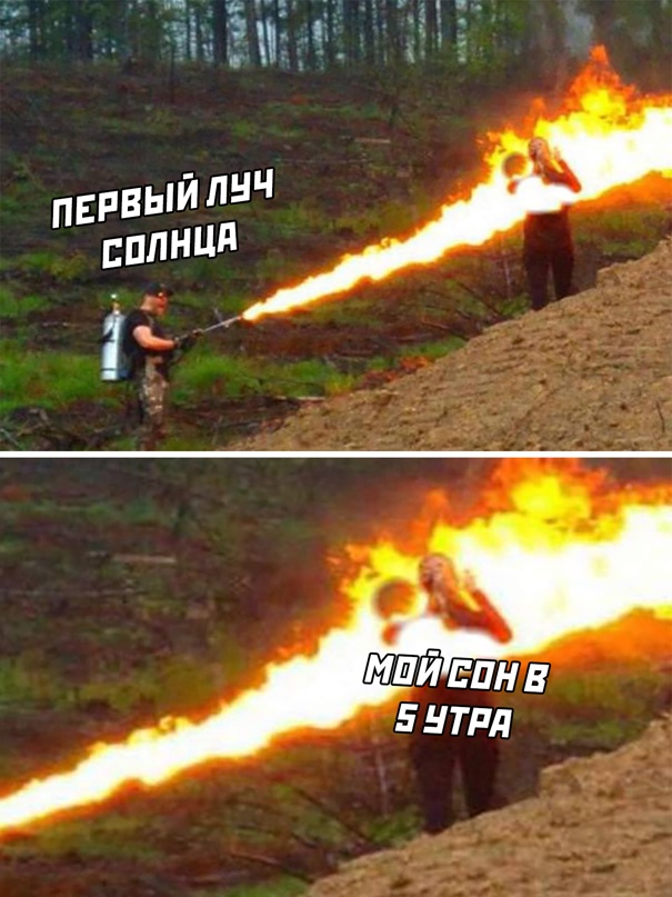 Весёлый полтишок 04.07.22