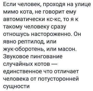 О пользе звукового пингования случайных котов