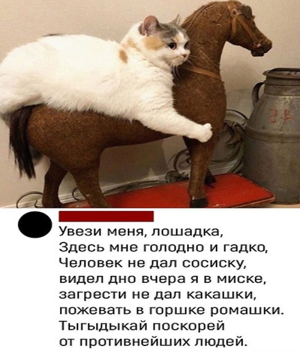 Картинки и мемы для настроения - 17