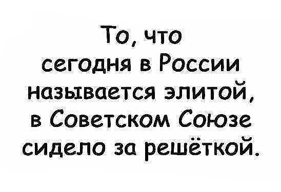Весёлый полтишок 01.11.23