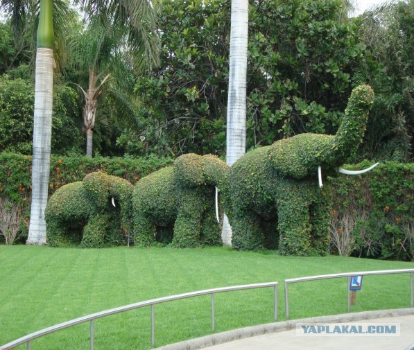 Хочу дачу на канарах!