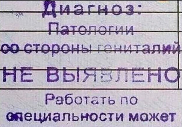 Перлы 04.02.24