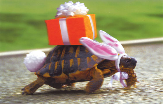 С ДНЕМ РОЖДЕНИЯ, ЯП!