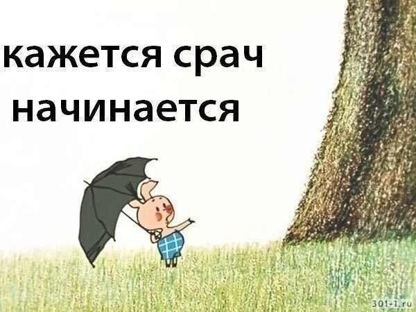 Перевёрнутый мир терпил...