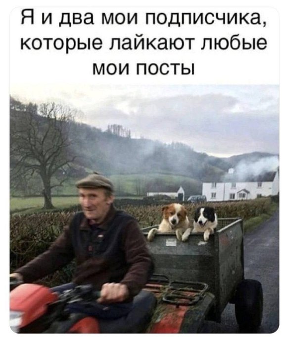 Так себе картинки 27.11.24