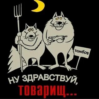 Володин попросил депутатов обращаться друг к другу словом «товарищ»