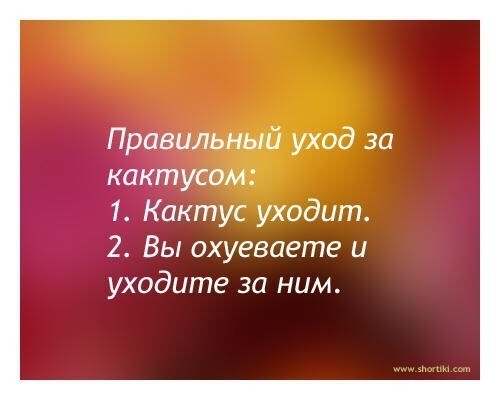 Так себе картинки 27.03.25