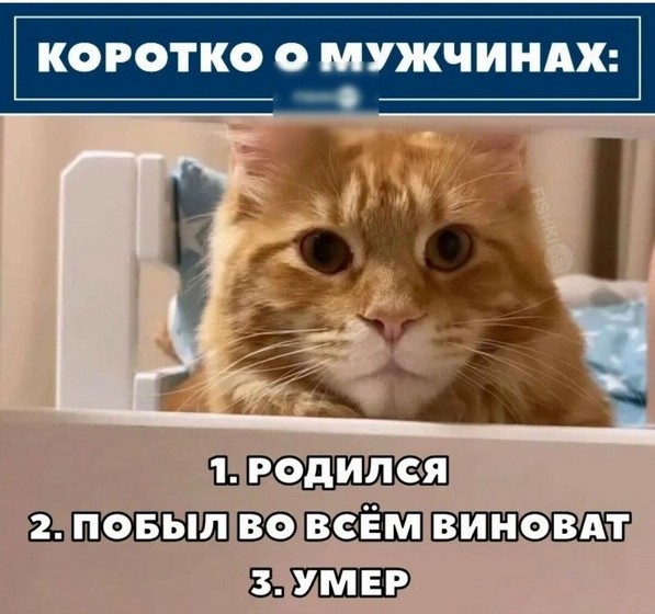Начать формировать пенсию в России можно с 14 лет
