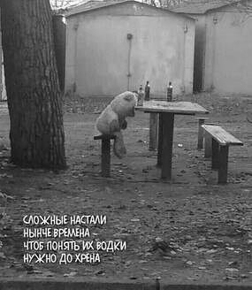 Вторник . Немного картинок