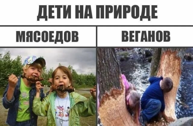 Веселые картинки в маленькую пятницу (08.07)