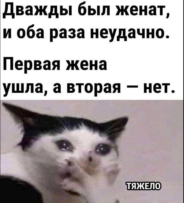Картинки для деградации 247 (разной степени свежести)