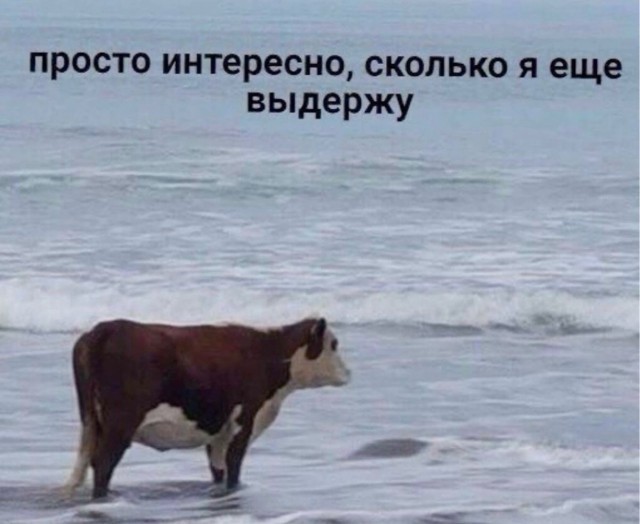 О! Вернулся! Весь в бычках и паутине!