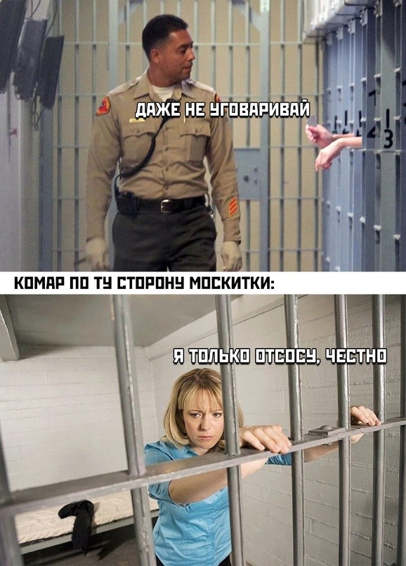 Картинки для деградации 277 (разной степени свежести)
