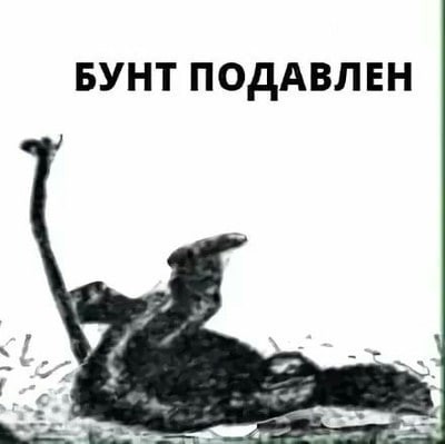 Хотел выложить видео...