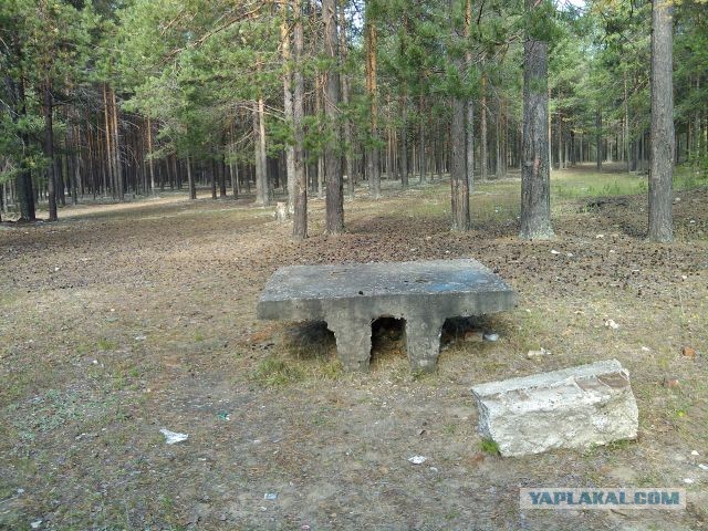 Две тихие охоты