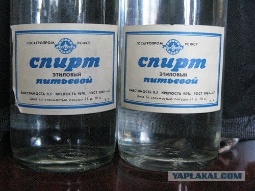 Семья из Новосибирска попыталась полгода прожить