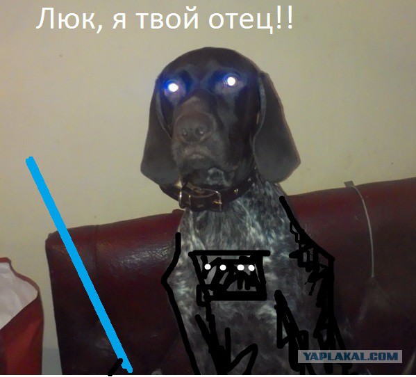 Собакочетверг никто не отменял.