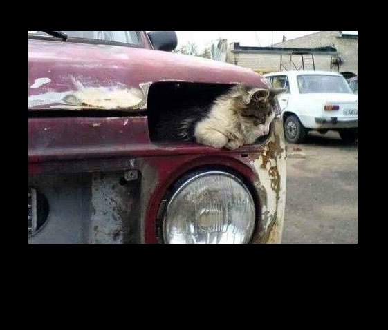Автотюнинг 80lvl