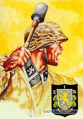 Беларусь тоже зацепило