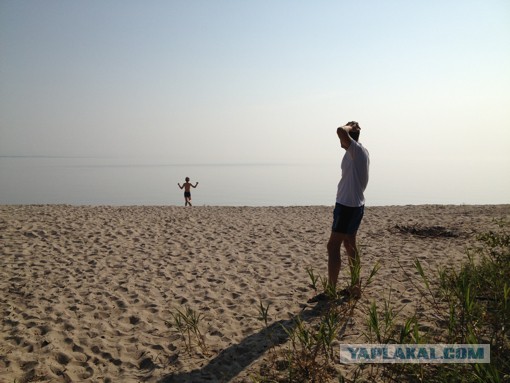 Природа Приморского края